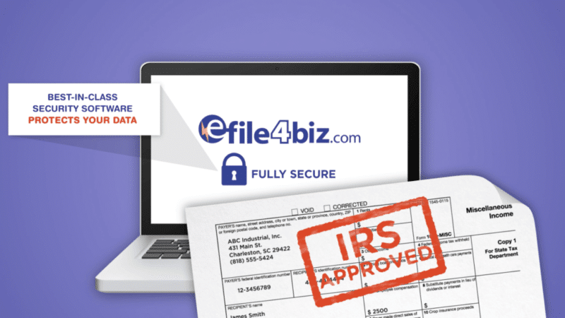 eFile4Biz animated promotional video